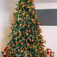 Bucket of Prawns - Christmas Ornaments (2 Pack)