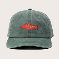 The Big Lid - Coral Trout (XL)