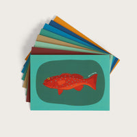 Fish Greeting Cards - Pack of 8