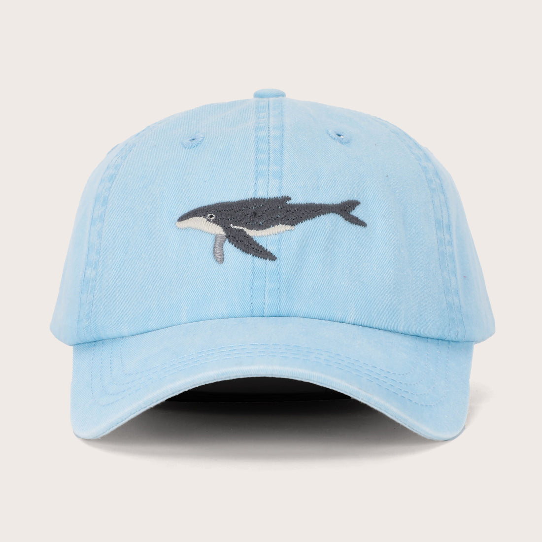 Humpback Whale Lid