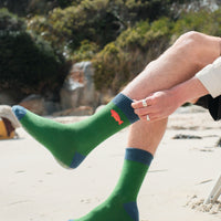 Coral Trout Fish Socks