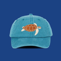 Kids Turtle Lid