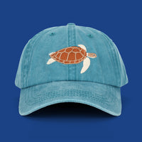 Turtle Lid