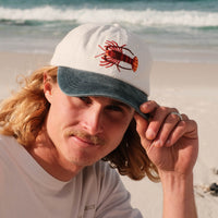 Southern Rock Lobster Lid