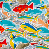 Fish Stickers - Vinyl Sticker Pack