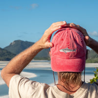 Match Your Mini - Tiger Shark Bundle