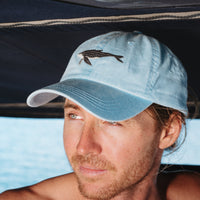 Humpback Whale Lid