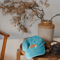 Turtle Lid