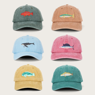 Classics Bundle