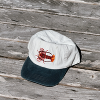 Southern Rock Lobster Lid