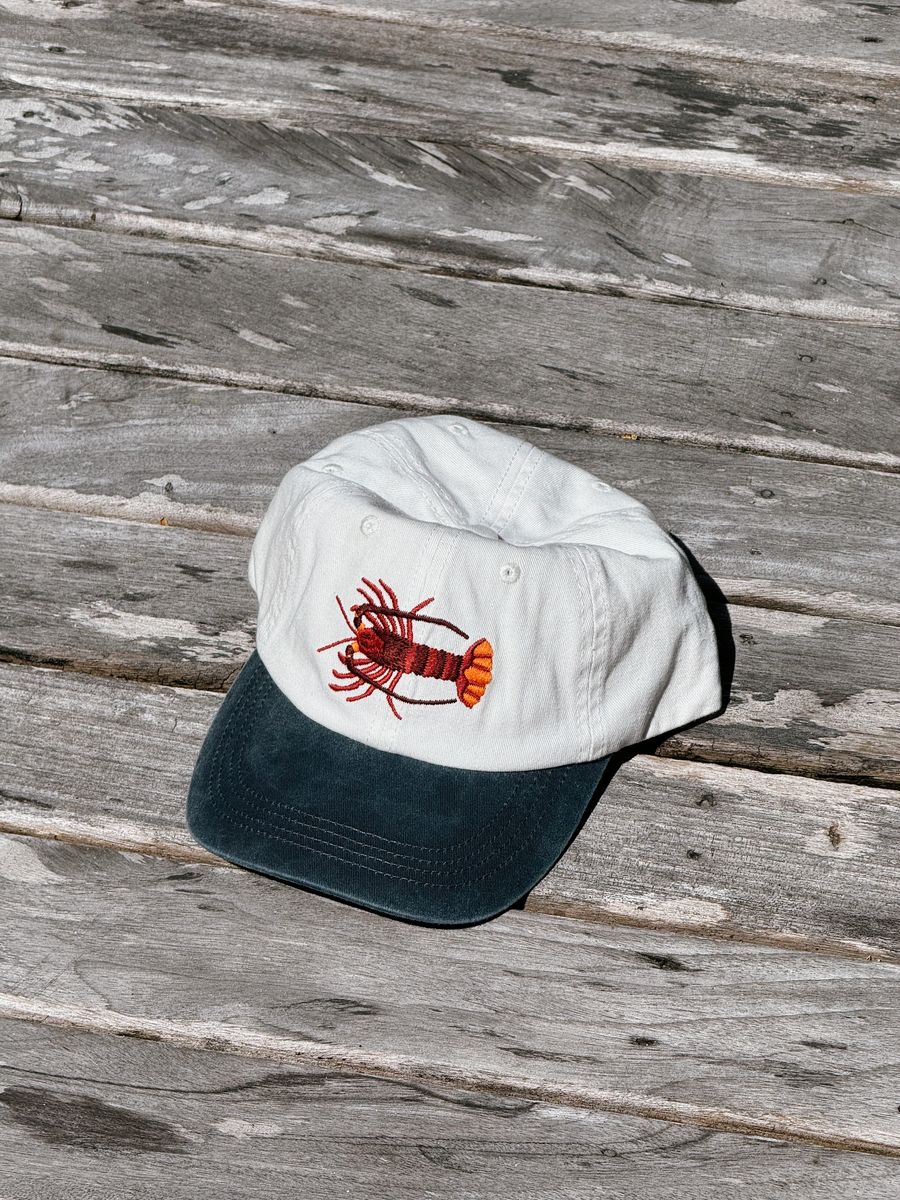 Southern Rock Lobster Lid