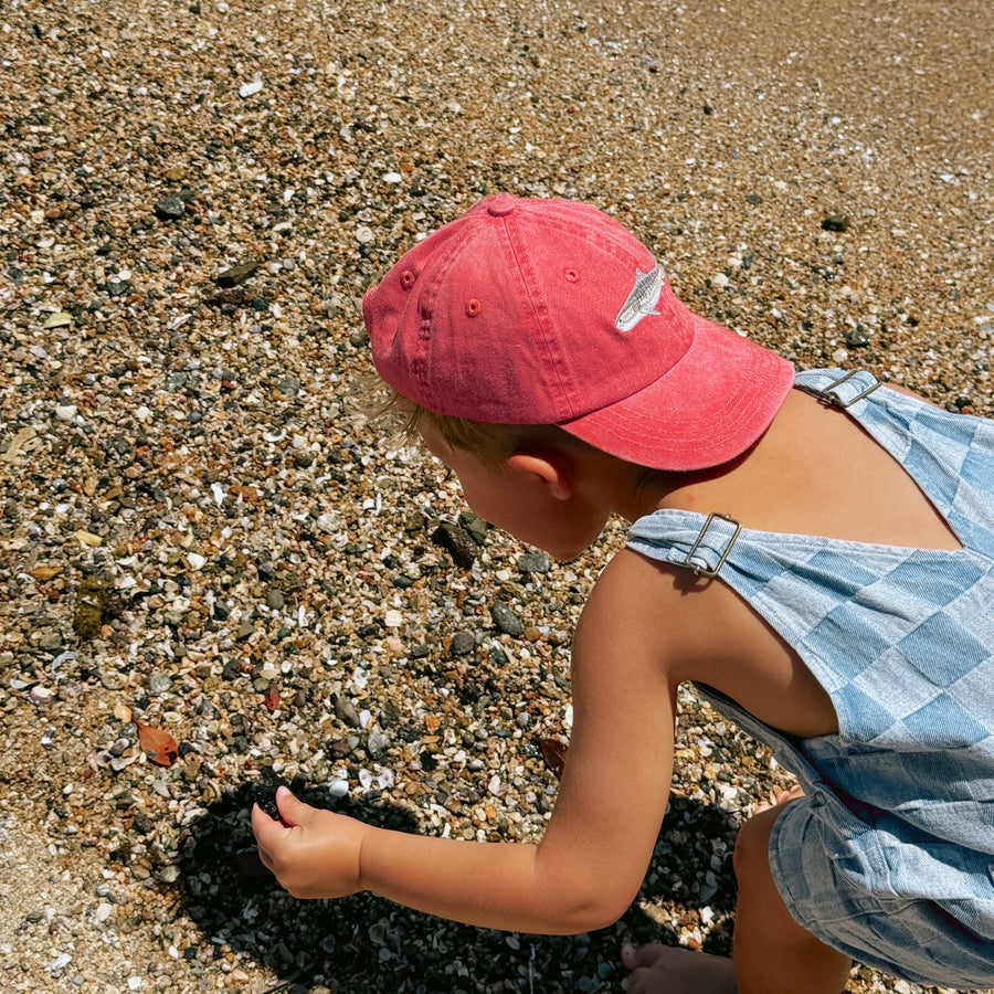 Kids Tiger Shark Lid