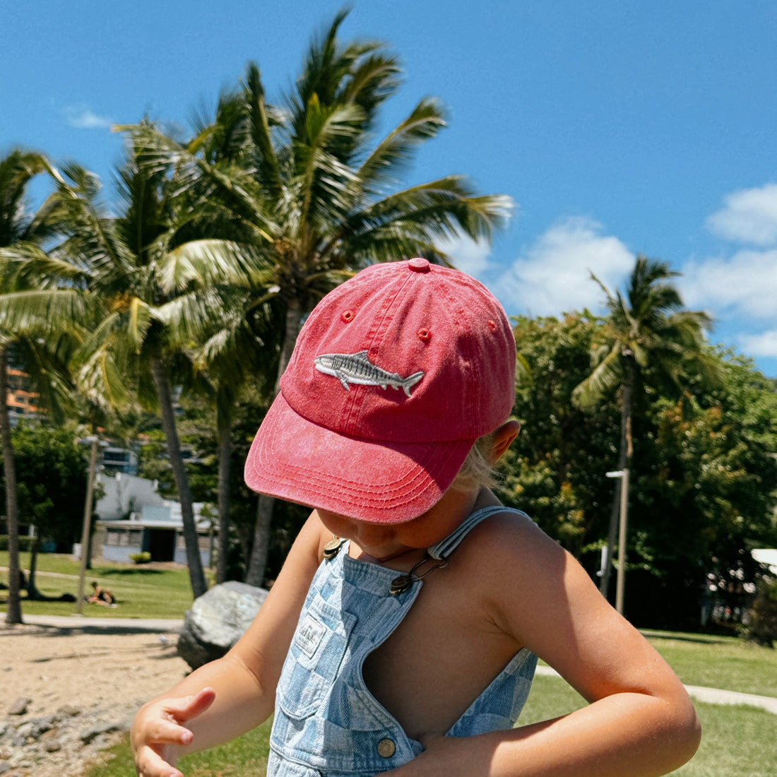 Kids Tiger Shark Lid