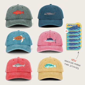 Ningaloo Bundle