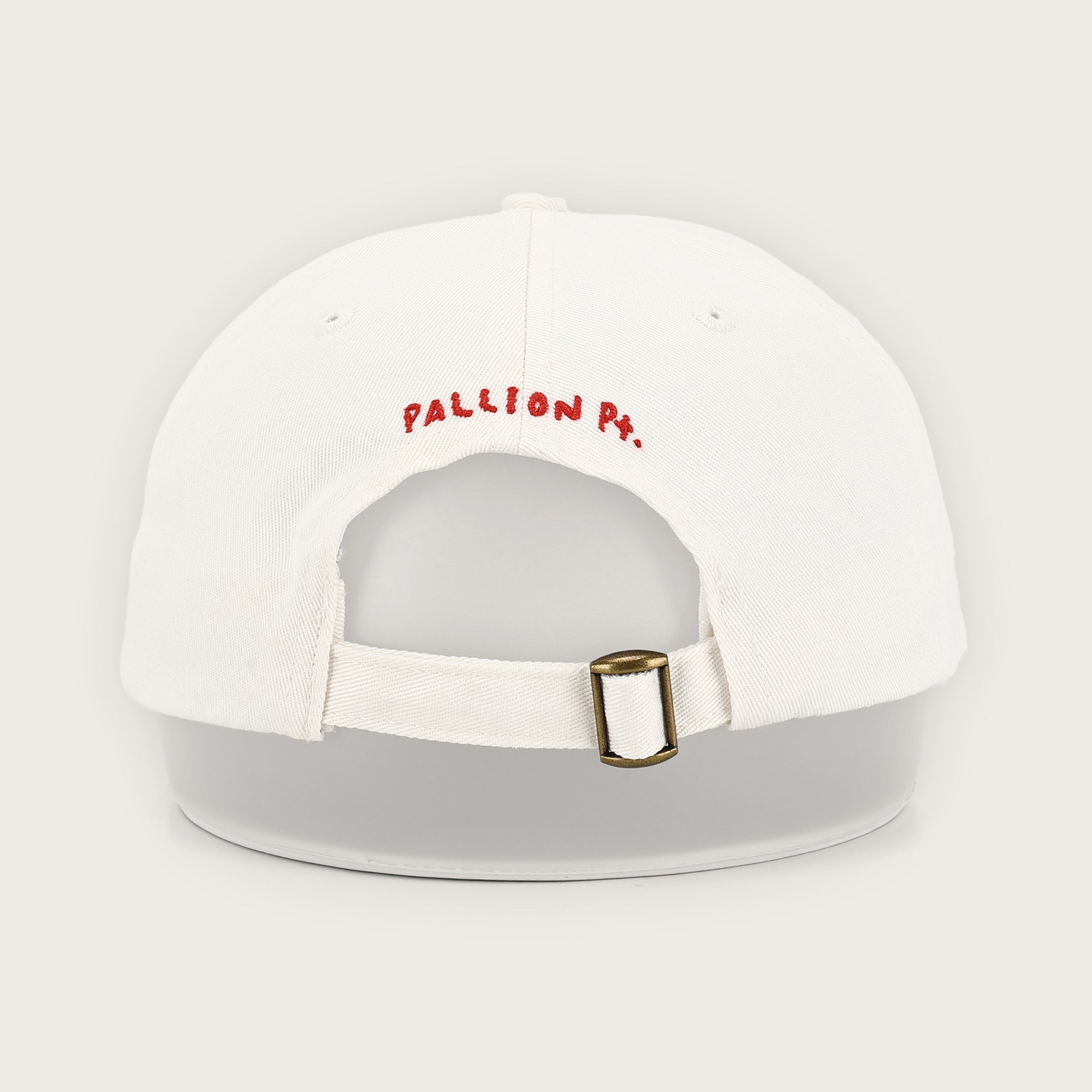 Saltwater Enthusiast Lid