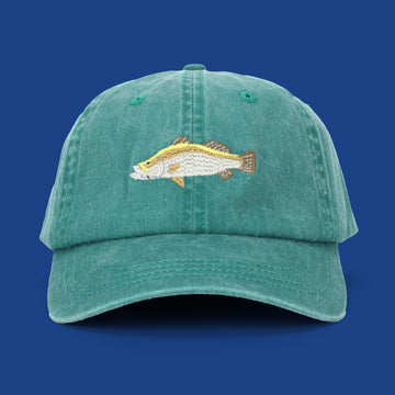 Barramundi Lid