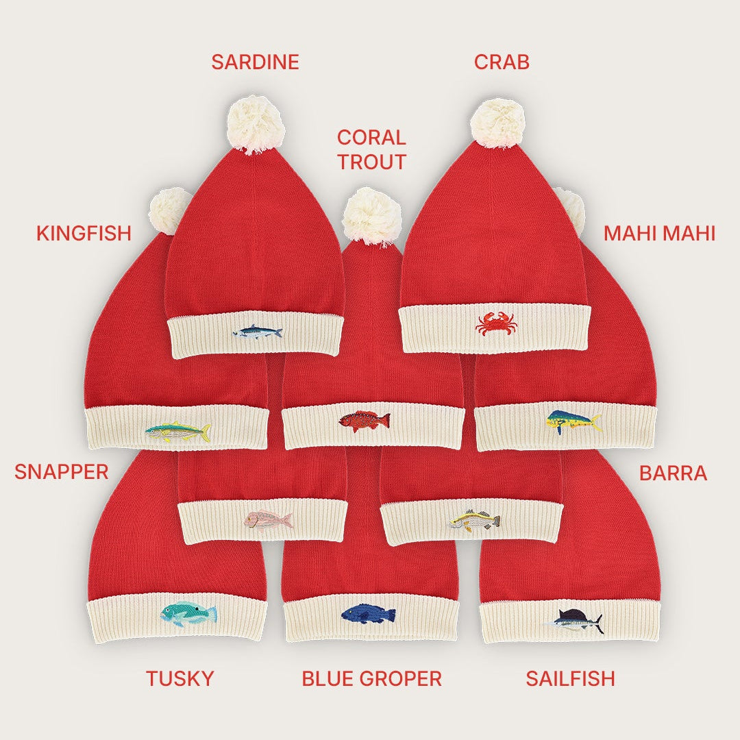 Santa Hats - The Whole School (10 Pack)