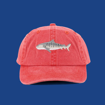 Kids Tiger Shark Lid