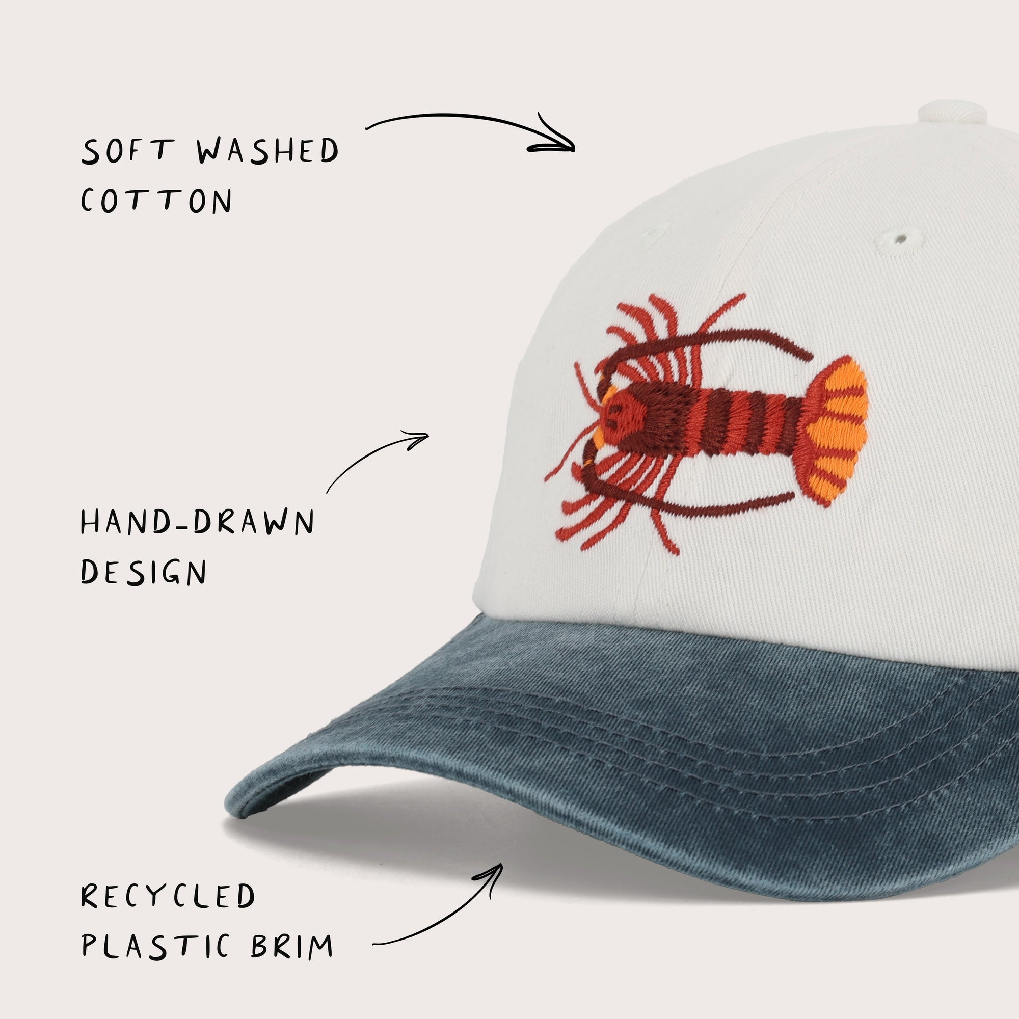 Southern Rock Lobster Lid