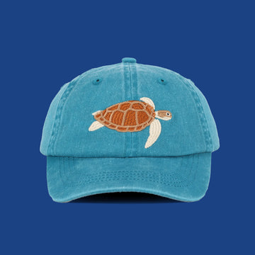 Kids Turtle Lid