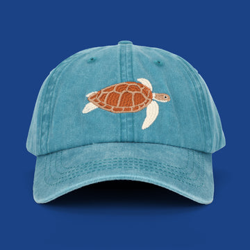 Turtle Lid