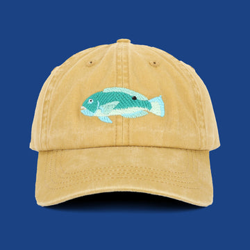 Tusky Lid