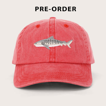 Tiger Shark Lid