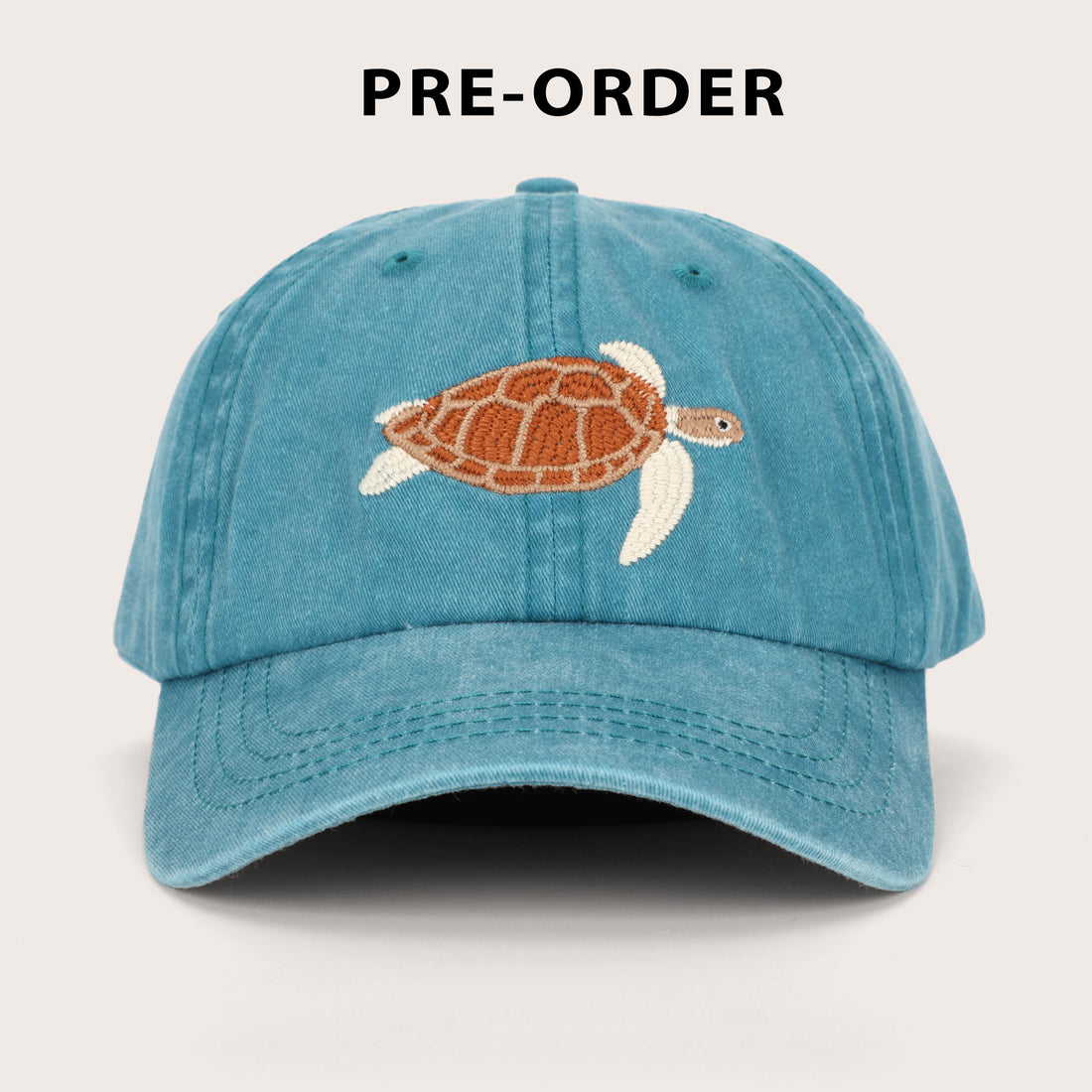 Turtle Lid