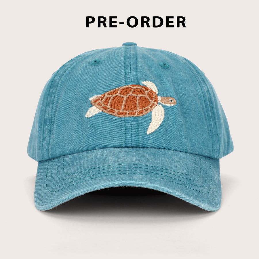 Turtle Lid