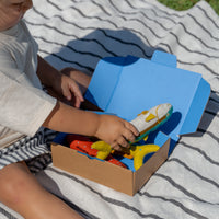 Snorkies - Fish Toys