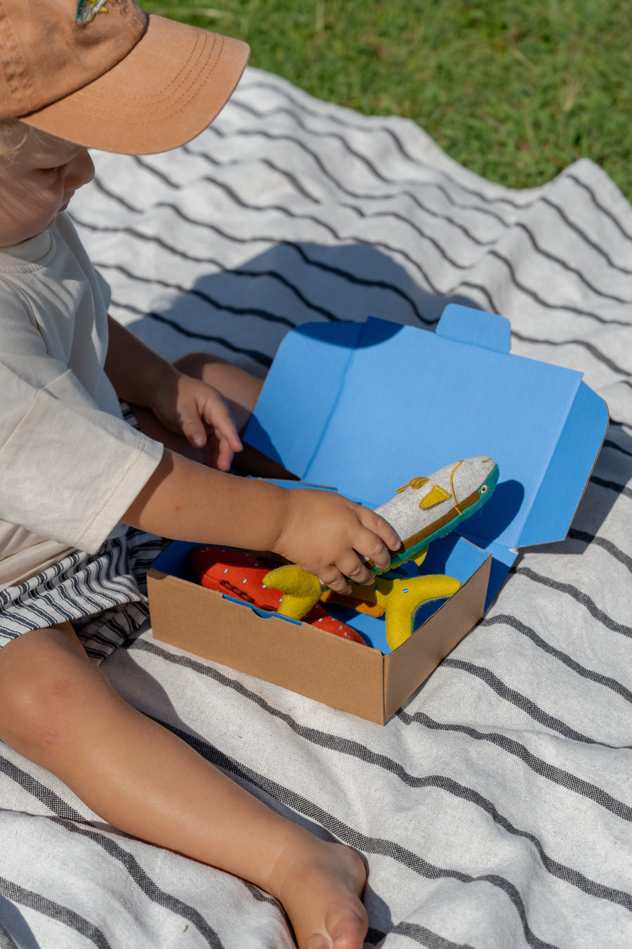 Snorkies - Fish Toys