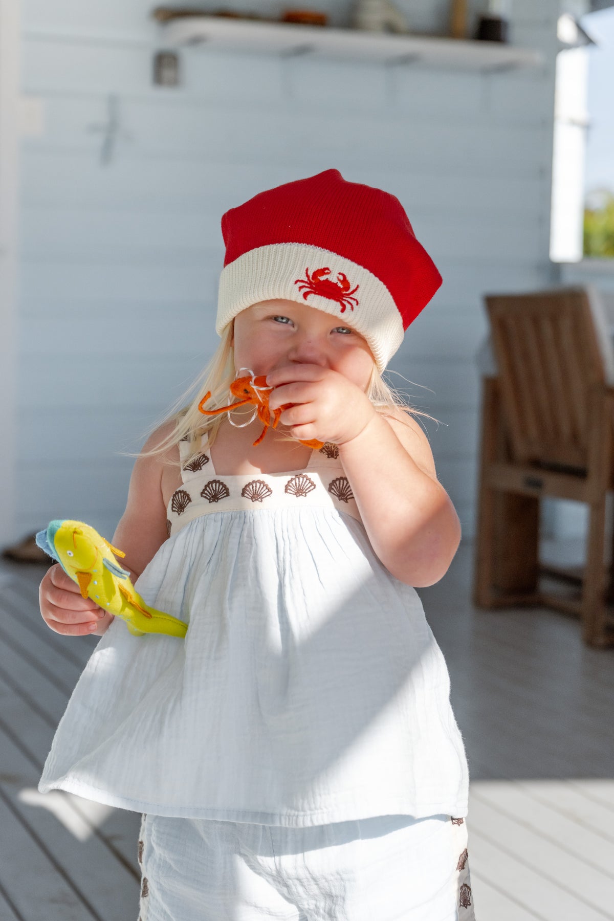 Santa Hats - The Whole School (10 Pack)