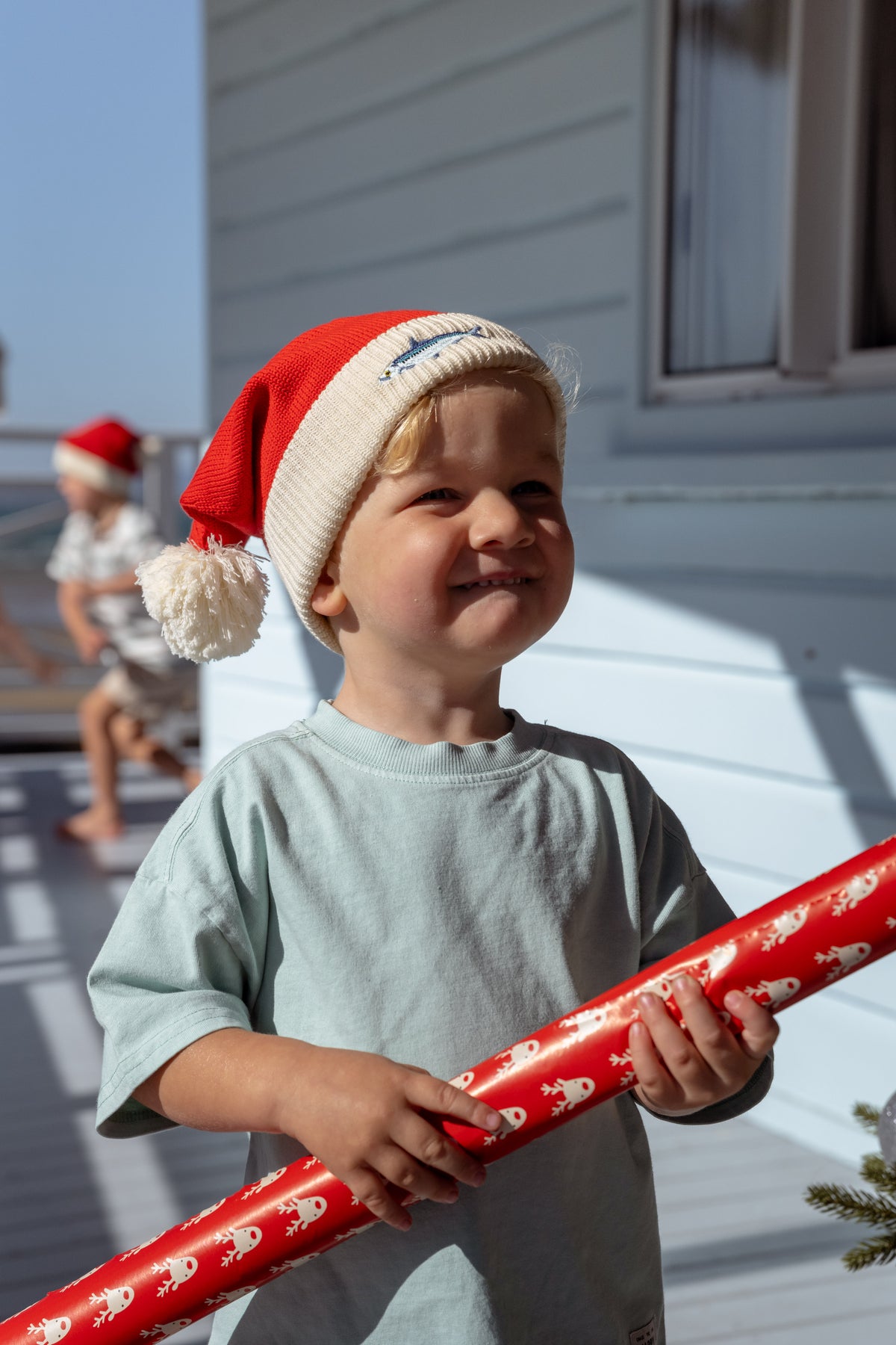 Santa Hats - The Whole School (10 Pack)