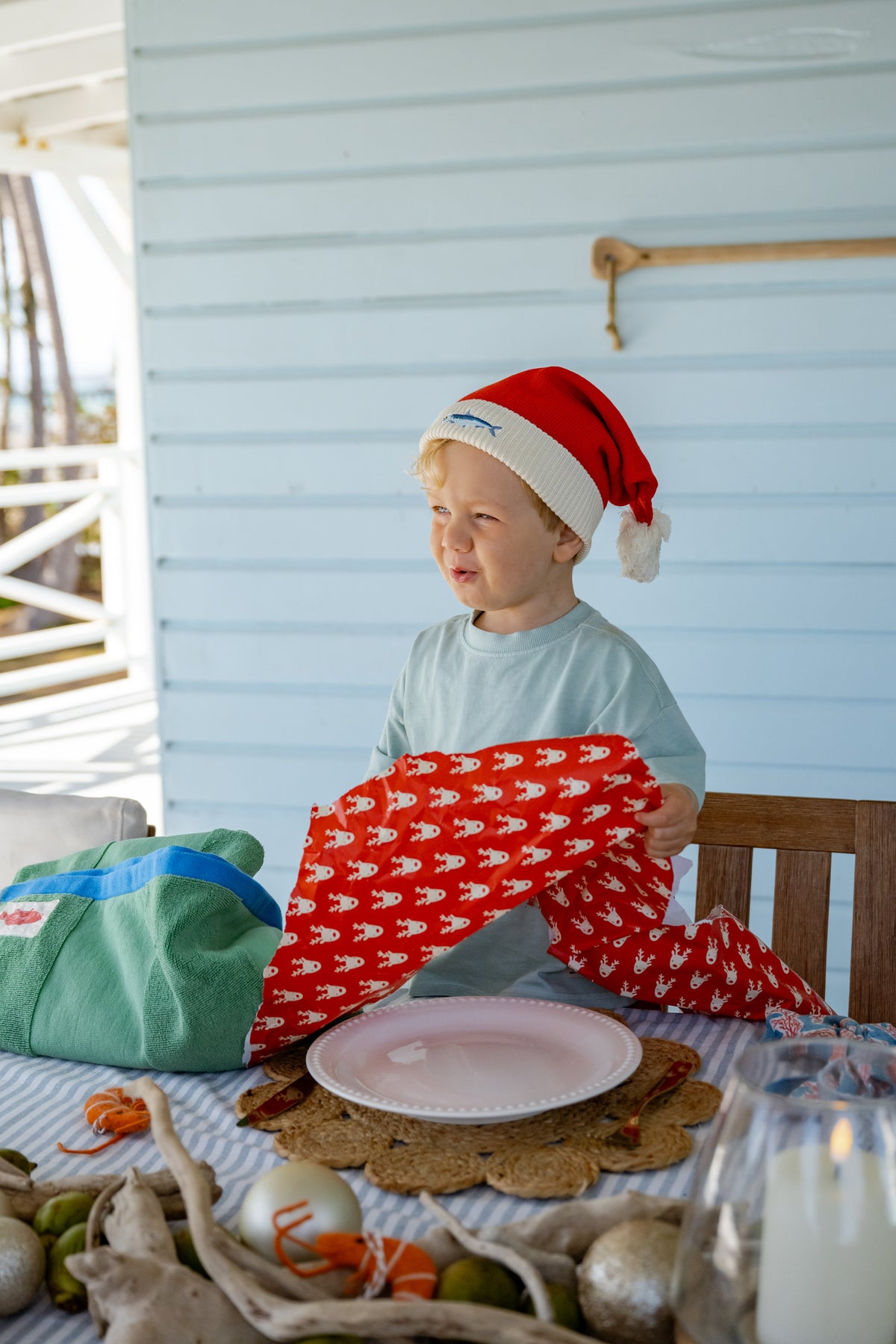 Santa Hats - The Whole School (10 Pack)