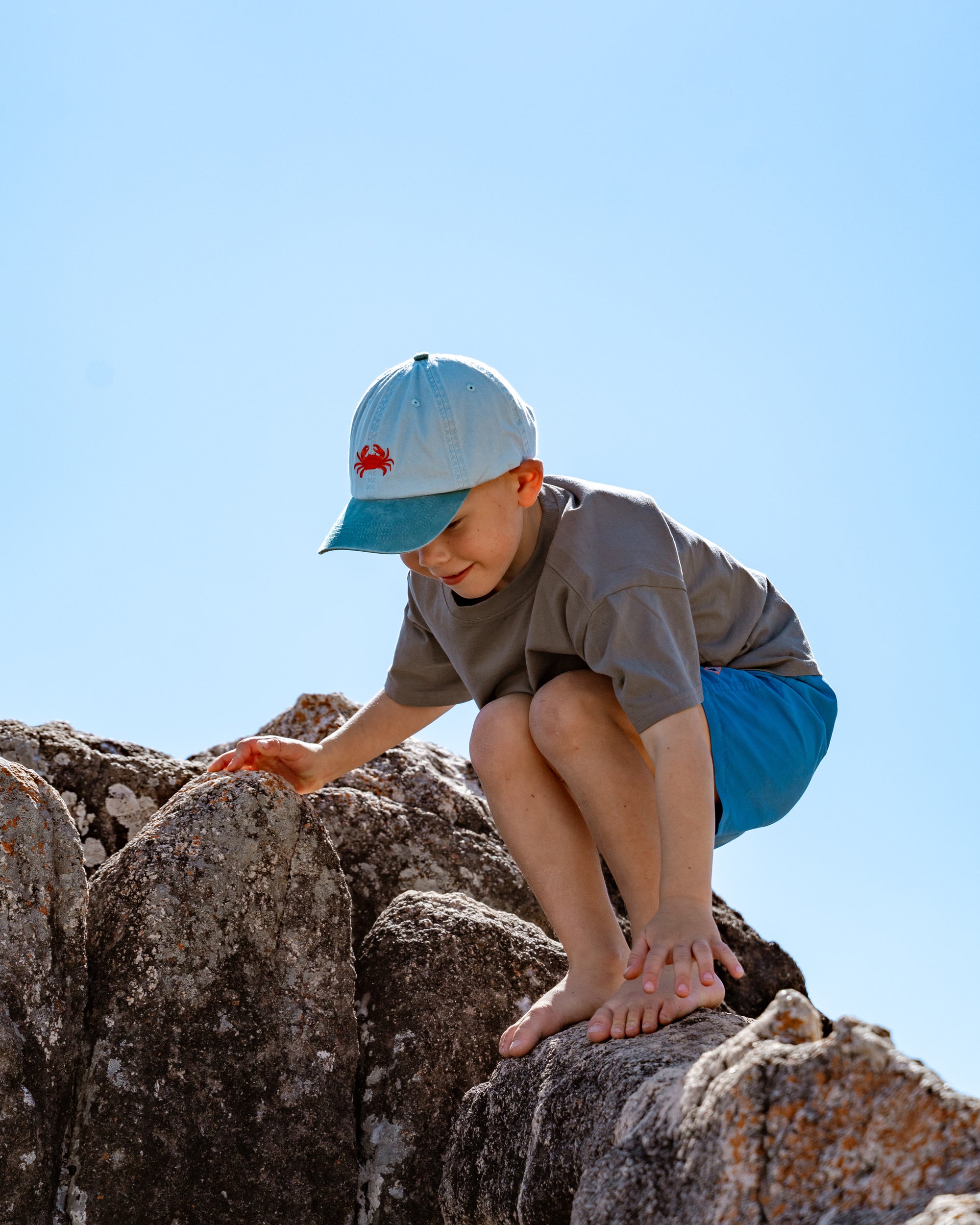 Kids Crab Lid