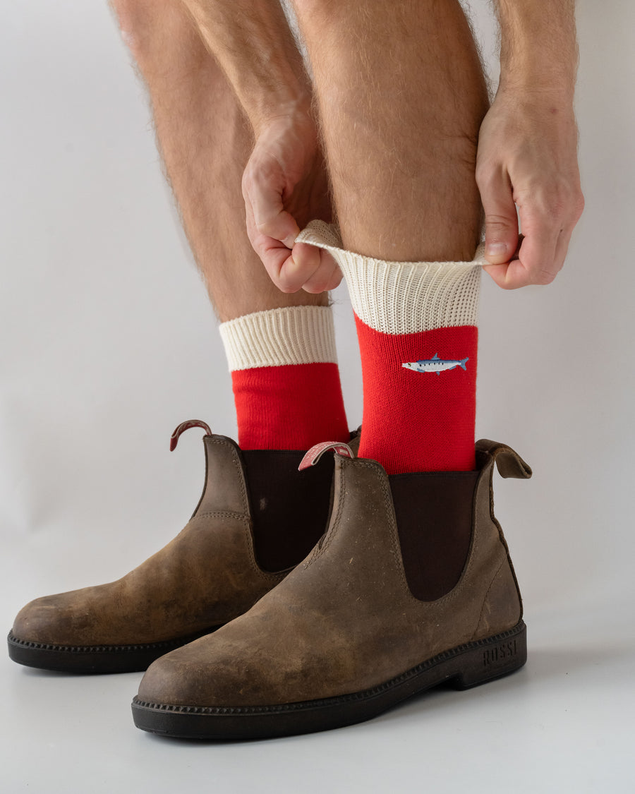 Fish Socks 3-Pack